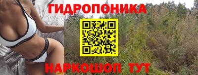 стаф Гагарин