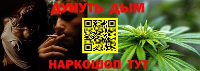 скорость Гатчина
