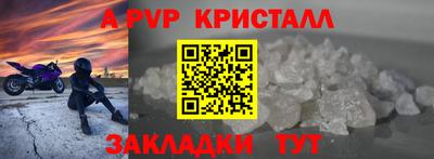 стаф Гагарин