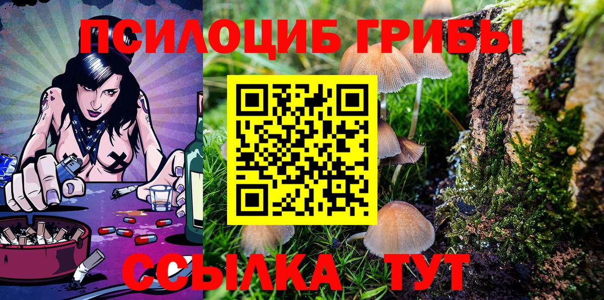 хочу наркоту  Галлюциногенные грибы MAGIC MUSHROOMS  Вход с VPN  Мурманск 