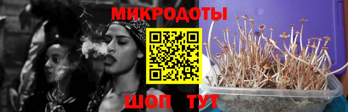 Псилоцибиновые грибы мухоморы Мурманск